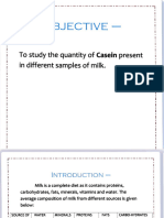 12th Project Casein Protein