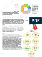 M2 PART 1 The Cell Cycle (READ IN ADVANCE)