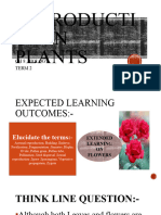 Reproduction in Plants