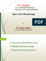 SEM II UNIT II Root Morphology DR - Prashant Shahare