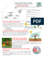 Ciencias 3