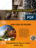 Leccion 4 - Una Vida de Prueba