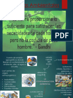 La Contaminacion Ambiemtal