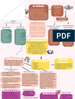 Mecanismos de Protección Del Trabajo