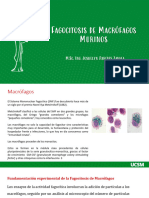 FBQ - BC - Práctica N°8 - Presentación - Lisosomas 2