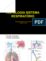 Histologia Sistema Respiratório