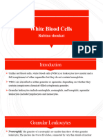 White Blood Cells - Components of Lymphatic System