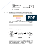 Q - Biobooster Sds - All