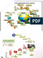 Biomoleculas