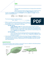 Plant Nutrition