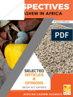 Perspectives On Cashew in Africa A4 2022