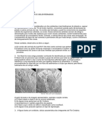 LISTA DE EXERCÍCIOS Poríferos e Celenterados