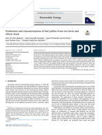 Production and Characterization of Fuel Pellets From Rice Husk and