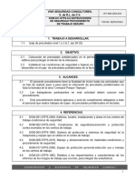 Procedimiento Nucleos Integrales Izajes