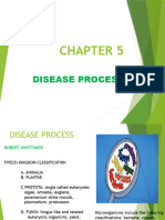 CHAPTER 5 Disease Process