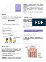 Endodontia Laboratorial - Introdução À Endo e Anatomia Dental Interna