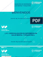 Marco Conceptual en Salud Mental y Psiquiatría