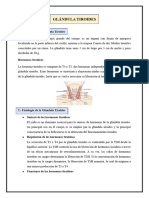 HIPOTIROIDISMO