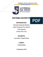 El Sistema Excretor