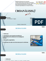 Microanalisis Final