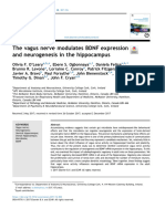 Olivia Et Al. 2018 - O Nervo Vago Modula A Expressão Do BDNF e A Neurogênese No Hipocampo - ENP