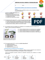 Evaluación Diagnóstica Por Competencias-Vii Ciclo