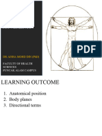 Anatomical Position and Directional Terms