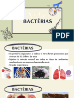 Bactérias 20240401 160931 0000