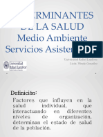 Determinantes de La Salud Medio Ambiente