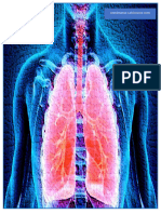 Tórax y Aparato Respiratorio