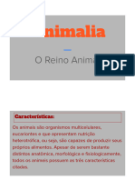 Reino Animal