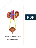 Systeme Renal