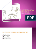 Animal Support Systems 103146