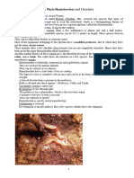 SZL105 Topic Twelve Phyla Hemichordata and Chordata