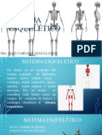 Anatomía y Fisiología de Los Huesos