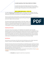 Lecture Gen Bio Light Dark Reaction Phase Photosynthesis