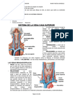 A 03 - Circulación Mayor. Sistemea Venoso