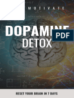 Dopamine Detox Guide