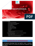 Clase 1.1 - Eritropoyesis