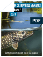 Rapport WWF Rivières Vivantes France 2024