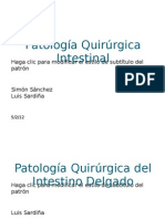 Patologia Quirurgica Del Intestino Delgado