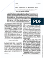 Weisburg Et Al 1991 16s Ribosomal Dna Amplification For Phylogenetic Study