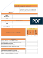 Formato Evaluacion Desempeño PYME5.