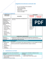 Digestion Alimentos Funcion Vital1 ° Ciencia