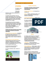 Células Especializadas: Distribuição de Matéria Nas Plantas Avasculares e Nas Plantas Vasculares Tecidos Vasculares