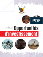 Cameroun Opportunites-dInvestissement FR