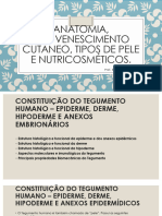 Anatomia, Rejuvenescimento Cutâneo, Tipos de Pele