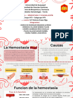 Hemostasia y Coagulacion - Grupo #6 DIAPOSITIVAS