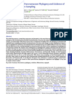 Major Revisions in Pancrustacean Phylogeny - 2023