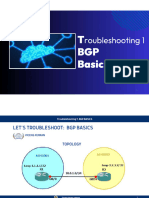 Troubleshooting BGP Basics